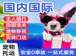 昌都邦达机场托运国际宠物托运 【国